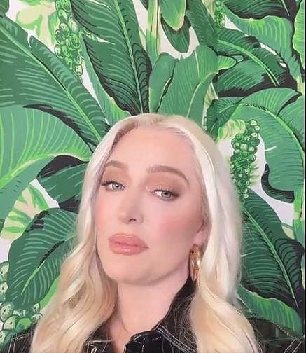 'Real Housewives of Beverly Hills' star Erika Jayne