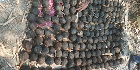 Crdue bomb image used for representational purpose only. (Photo | ANI)