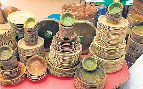 Former IT professional couple now living life farm size