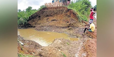 The spot where the left main canal of Indravati breached | Express
