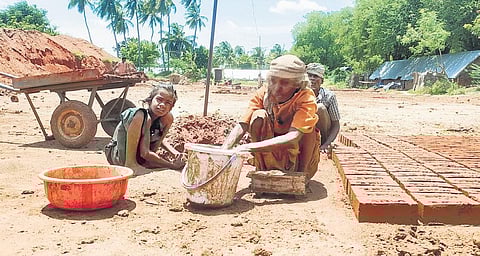 End of NCLP pushes kids back to child labour in Tamil Nadu