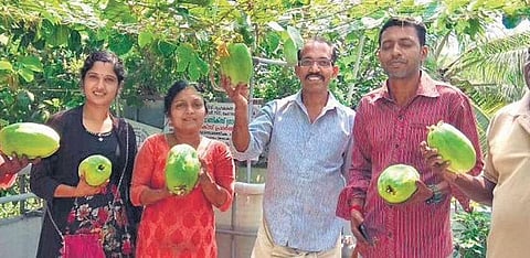 Cherai residents with the ash gourd they cultivated