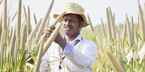 Dr Mahalingam Govidaraj from ICRISAT wins Norman E Borlaug Field Award for world's first biofortified millet, Dhanashakti'