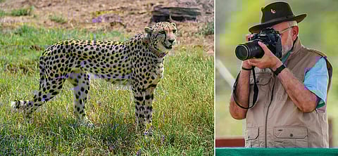 Prime Minister Narendra click photographs of a cheetah after being released inside a special enclosure of the Kuno National Park. (Photos | PTI/PMO)