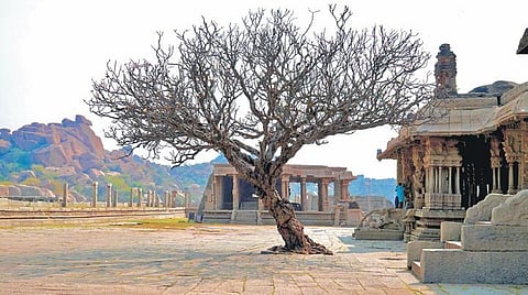 Capturing vestiges of a grand past