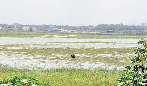 33 encroachments cleared at Begur lake