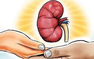 Kidney disease: Myths and reality