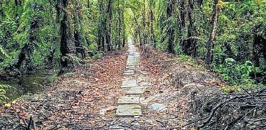 Tranquil trance on ‘dream island’