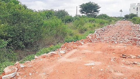 Arkavathy Layout 18th Block resembles a mini forest
