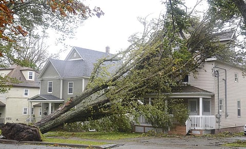 Fallen trees lean against a house in Sydney, NS as post tropical storm Fiona continues to batter the Maritimes on Sept. 24, 2022. (Photo | AP)