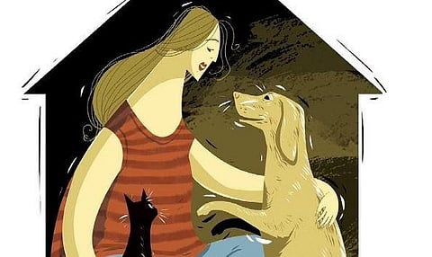 Illegal breeders, pet shops worsen stray dog menace: Welfare groups