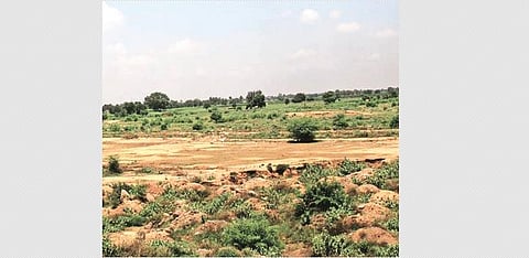 Dharani creating new land disputes instead of solving existing issues?