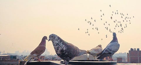 Image used for representational purposes only