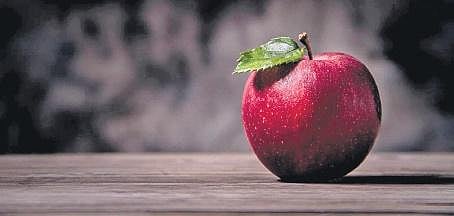 Image used for representational purpose only. (File Photo)