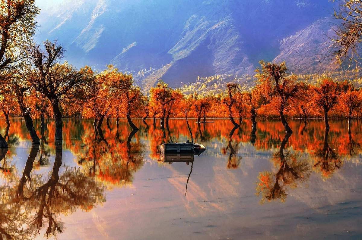 Meet to revive tourism as J&K situation is normal