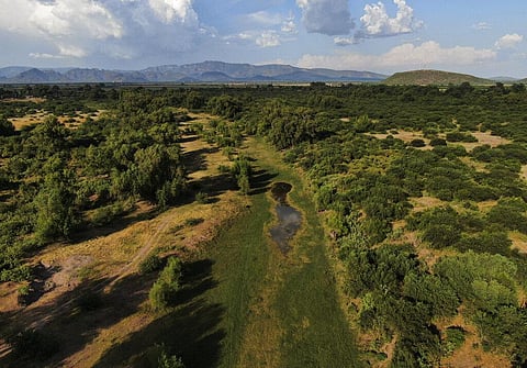 The Yaqui River is dry on the outskirts of Vicam, Mexico on Sept. 26, 2022. (Photo | AP)