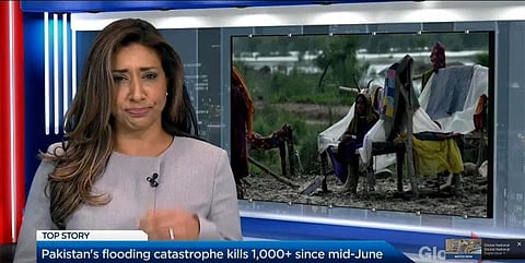 Farah Nasser of Global News channel. (Screengrab)