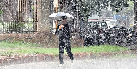 On Friday, Safdarjung Observatory recorded 8.8 mm rain till 5.30 pm. (Photo | Parveen Negi, EPS)