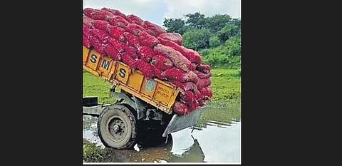 Onions being dumped into a pond in Krishnagiri owing to poor demand