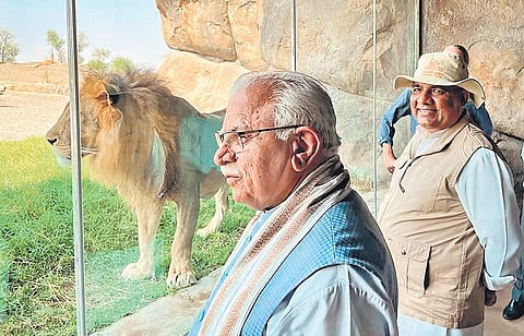 Union Minister for Environment and Forests Bhupender Yadav with Haryana Chief Minister Manohar Lal Khattar during a visit to a jungle safari in UAE | pti