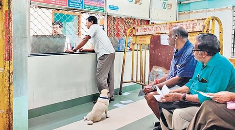 (Photo | Shiba Prasad Sahu)