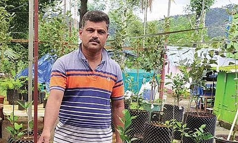 Bijumon Antony with air pruning pots at his farm in Kochuthovala near Kattappana