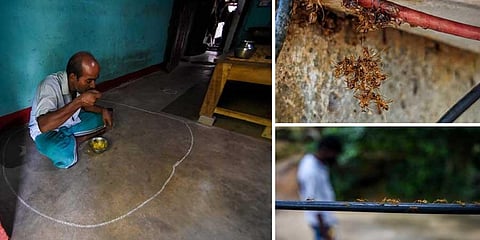 A man having food inside a repellent chalk line circle; Ant swarms seen on cables and wires | Debadatta Mallick