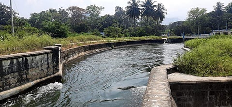 Parambikulam Aliyar Project (PAP).