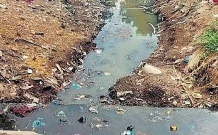 A canal carrying sullage draining into an irrigation channel of Thamirabarani river at Srivaikuntam | Express