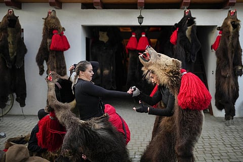 Centuries ago, people in what is now northeastern Romania would don bear fur and dance to fend off evil spirits. Nowadays, the custom lives on as a popular festival that has been drawing crowds of tourists. (Photo| AP)