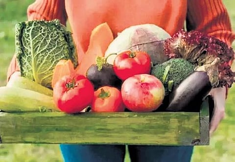 Image for representation purpose only.