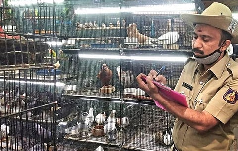 A police constable during a raid at a pet shop in Bengaluru on Wednesday