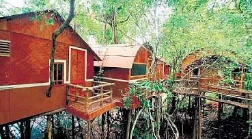 Call of the ‘wild’: Bowl boating to treetop nights at Adavi