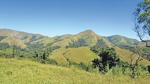 Joshimath waiting to happen in Western and Eastern Ghats, do not ignore: Experts