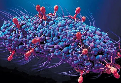 Image for representational purpose only.