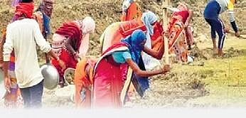 MGNREGA app rollout begins with glitches