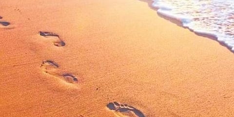 Celibacy and spirituality