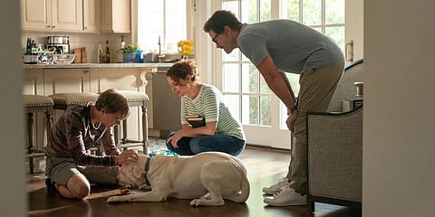 A still from the movie 'Dog Gone'