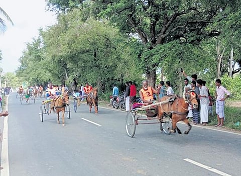 Horse carts racing against each other on National Highway near Thirukadaiyur on occasion of Kaanum Pongal on Tuesday | expressMISSINGI