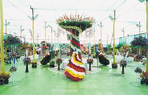 Flower exhibition venue at Karaikal Carnival | EXPRESS