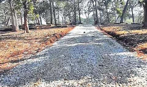 A road being constructed in the Timber Depot in Dandeli | Rahul Bavaji