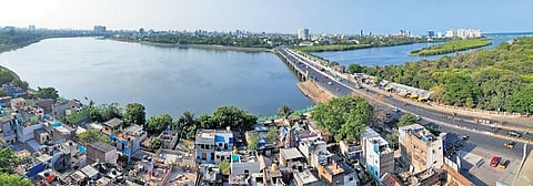 The Public Works Department proposes to carry out desiltation from the Adyar river mouth to Thiru Vi Ka Bridge. (Photo | Ashwin Prasath, EPS)
