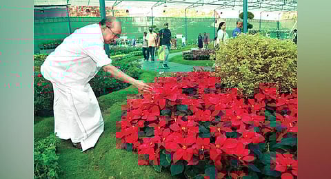 K V Thomas visits the Cochin Flower Show at Ernakulathappan Ground | T P Sooraj