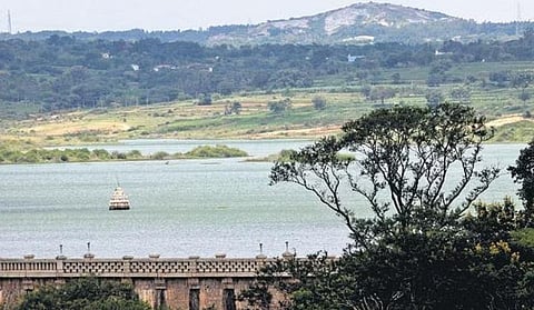 pic for representation