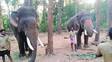 Image used for representational purposes only