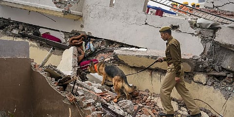 A police personnel with a dog during the search and rescue operation a day after the collapse of a four-storey residential building in the Hazratganj area, in Lucknow on Jan. 25, 2023 | PTI