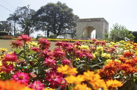 Raja Seat gearing up for the annual Flower Show event to take place from February 3 to February 6. (Photo | EPS)