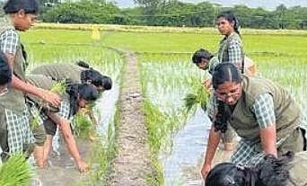 Students create awareness about organic farming