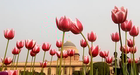 Mughal Gardens of the president house in New Delhi. (File | EPS)