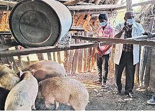 For representational purposes